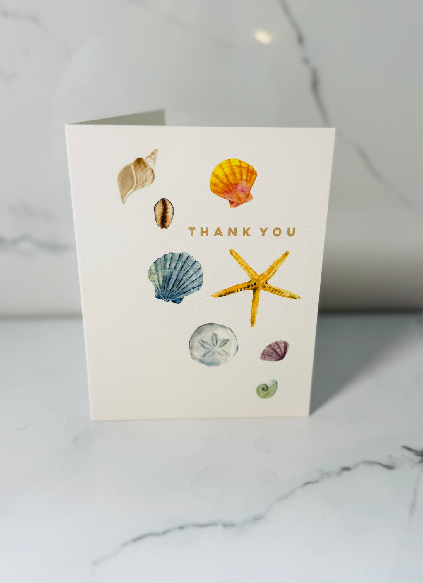 Shells Thank You Card