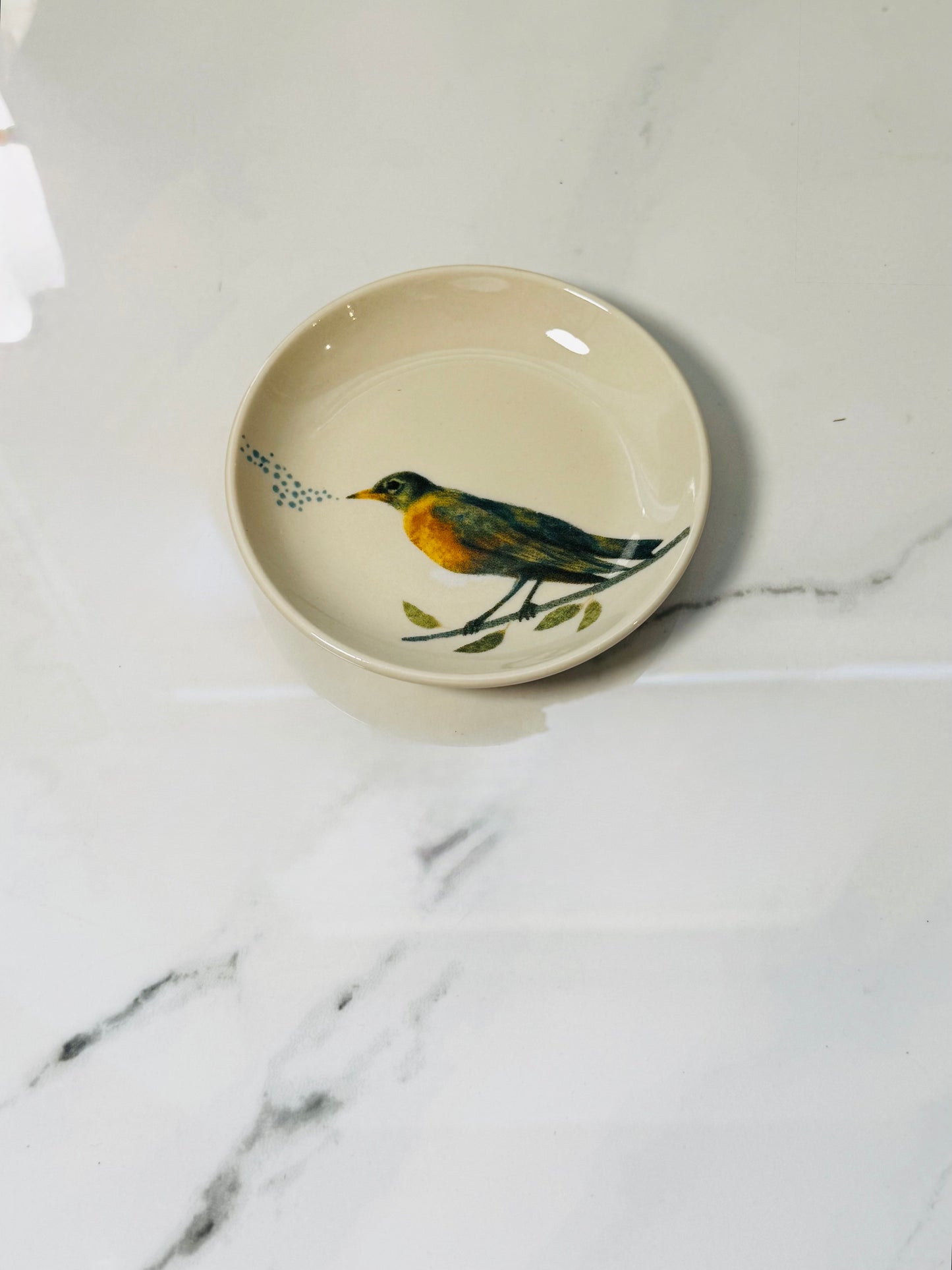Black and Green Bird on Branch Tidbit Dish