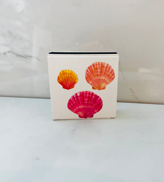Sea Shell Match Box