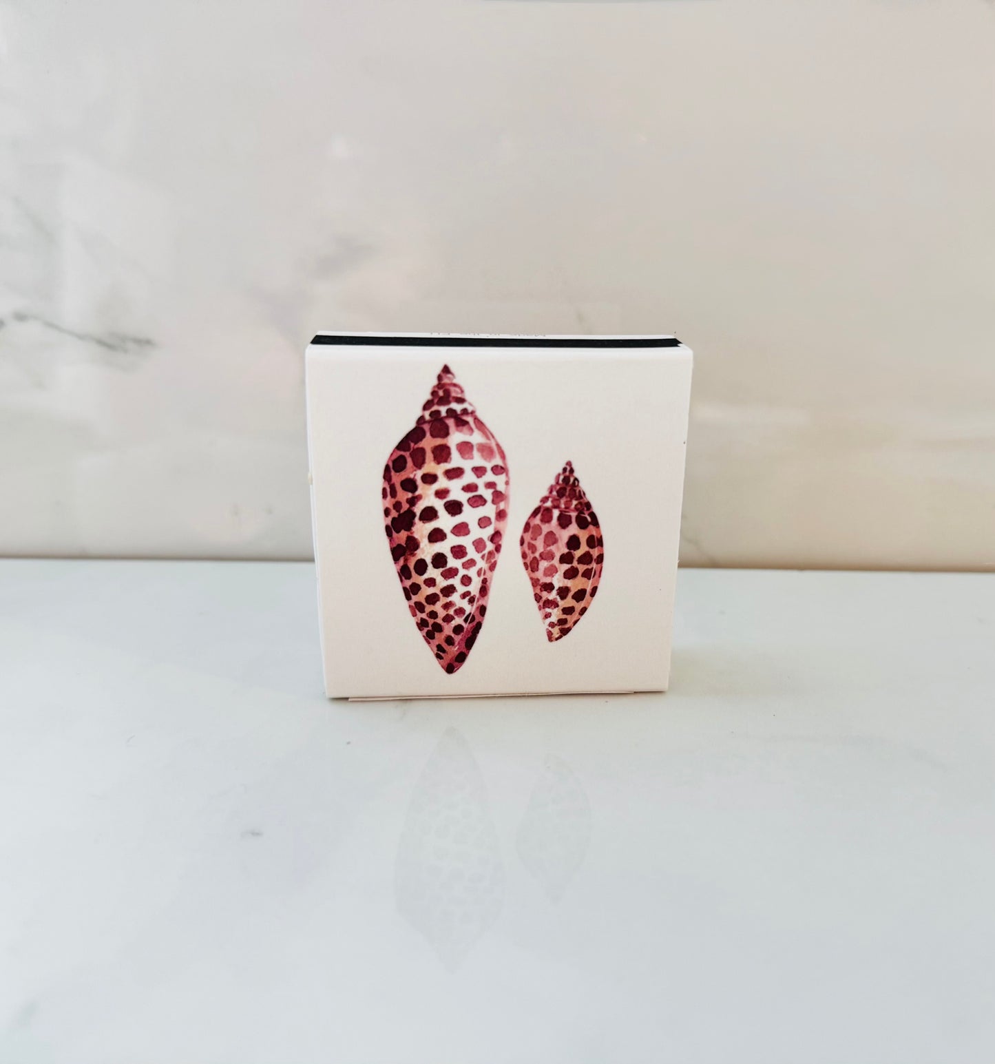 Sea Shell Match Box